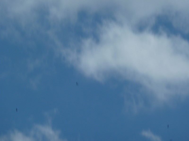 ../Images/2012-07-08-13h50m27 .jpg